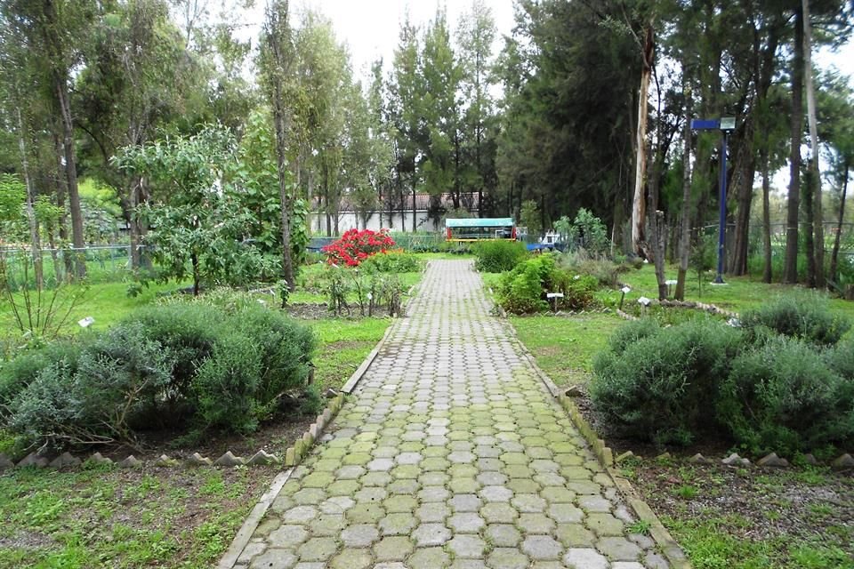 El Jardín de Plantas Medicinales y Aromáticas Xochitlalyocan se ubica en el Centro de Investigaciones Biológicas y Acuícolas de UAM-X.