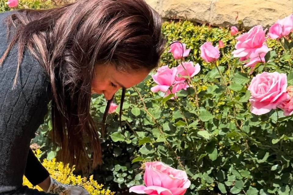 Parte de los planes que Meghan Markle tiene en su faceta como empresaria y visionaria está emprender un negocio con su hija de tres años.