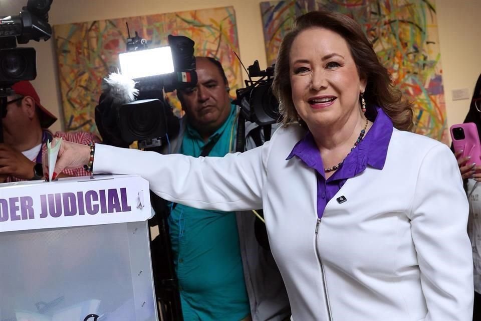 En noviembre pasado, Raúl Andrade Osorio, representante legal de la Fundación Iris, solicitó al INE iniciar una investigación y declarar inelegible a Yasmín Esquivel como candidata a Ministra
