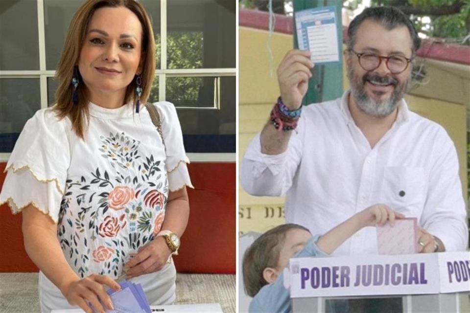 Tanto Valle como Bátiz tienen carrera electoral.