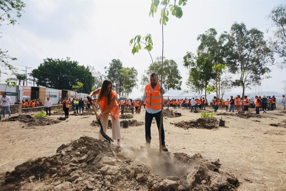 Esta mañana el Alcalde, Gerardo Quirino Velázquez Chávez, inició la plantación de 20 mil árboles en la unidad deportiva de dicho desarrollo habitacional.