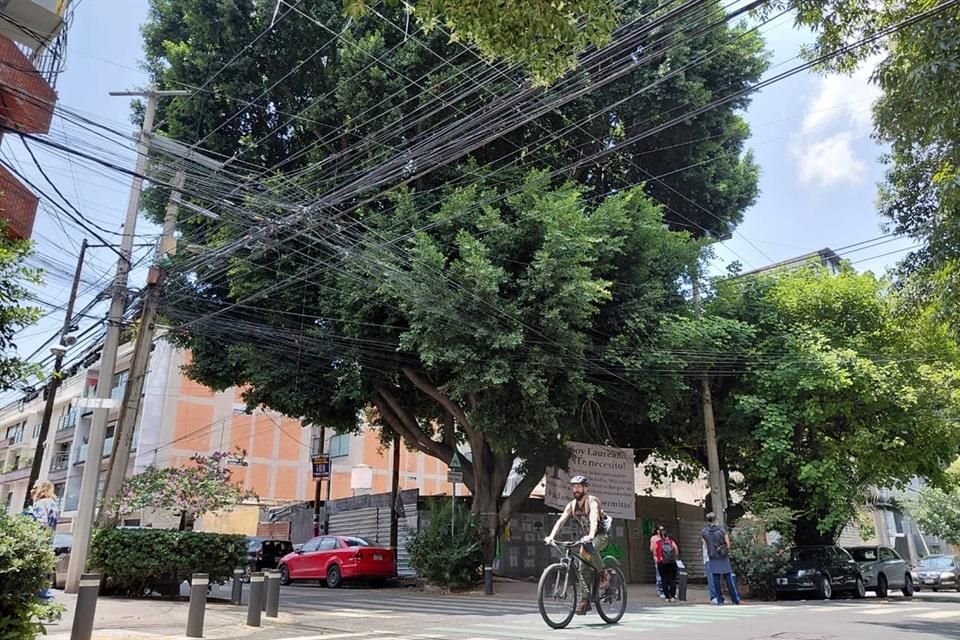 El constructor ofreció pausar los trabajos hasta sostener una reunión con Sedema, pero ayer hubo movimiento. 