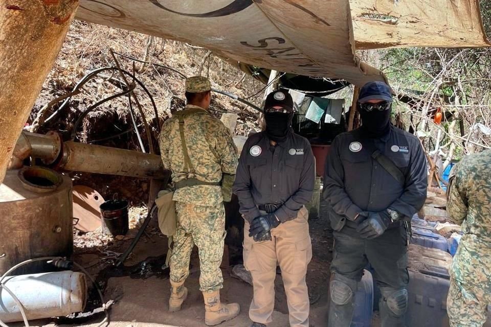 Las autoridades afirmaron que el aseguramiento representó un golpe económico de unos 966 millones de pesos al crimen organizado.