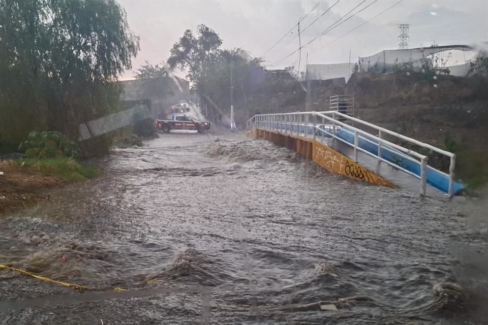 Una veintena de árboles caídos y tres casas inundadas fue el saldo que dejó la lluvia de ayer  por la noche en Zapopan.