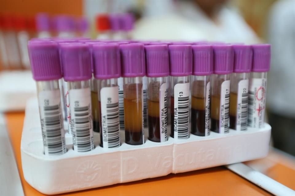 De cada toma pueden extraerse glóbulos, plaquetas y plasma.