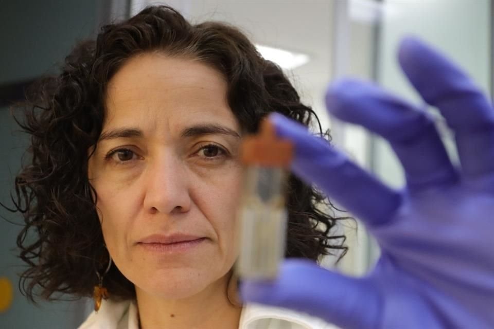 Die Immunologin Paula Licona Limón ist die wissenschaftliche Leiterin der Einheit.