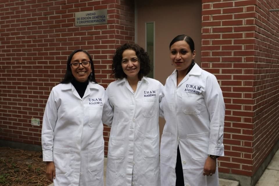 Licona Limón wird von ihren beiden Teamkolleginnen Ariadna Aparicio Juárez und Guadalupe García Patiño flankiert. Sie bilden das Team.