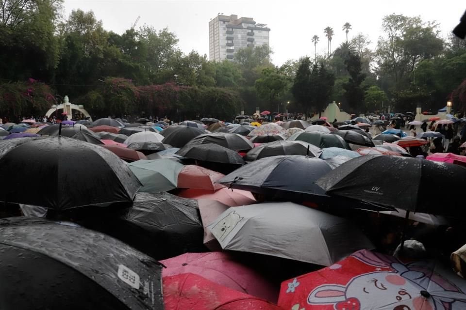 Fans esperaron durante horas bajo la lluvia.