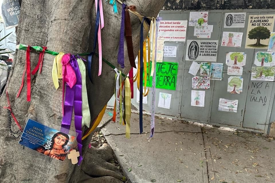 Los ciudadanos prevén interponer mañana un segundo amparo para garantizar que el árbol no sea talado debido a la construcción.