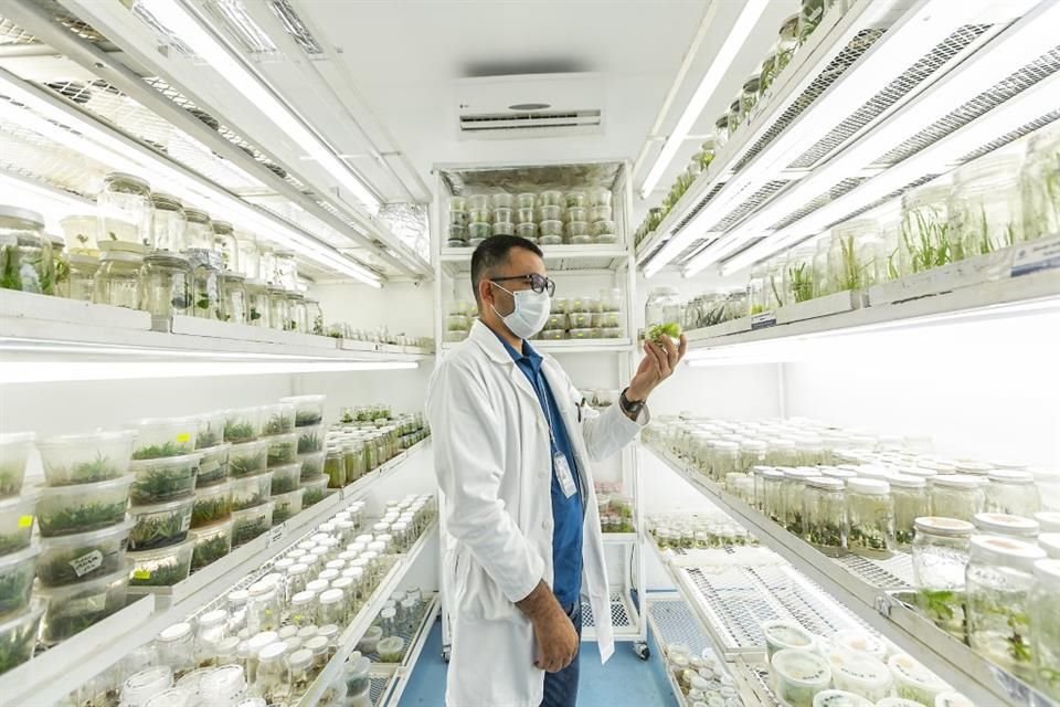 Ya está abierta la convocatoria para el Premio Estatal de Innovación, Ciencia y Tecnología 2025.