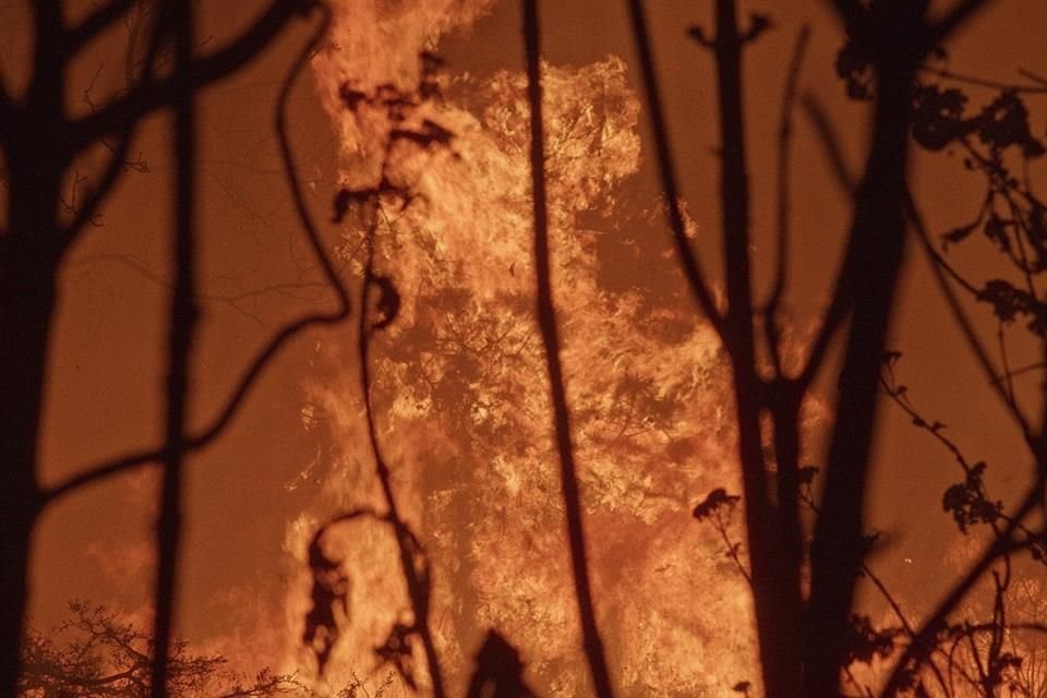 El documental sigue a brigadistas forestales de Protección Civil de Zapopan, en su día a día.