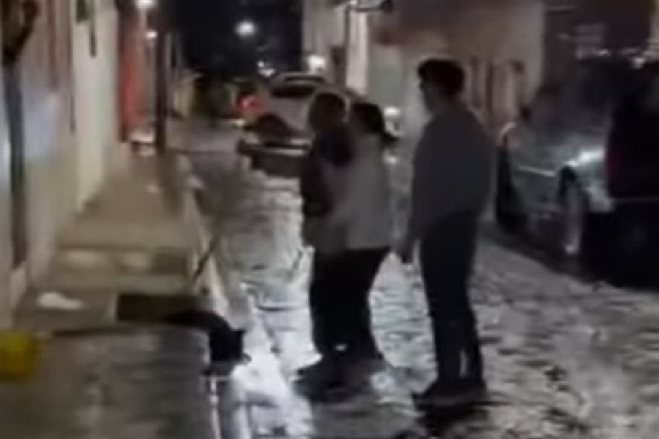 Tanto padre, madre e hijo, traían palos con los que agredían al perro.