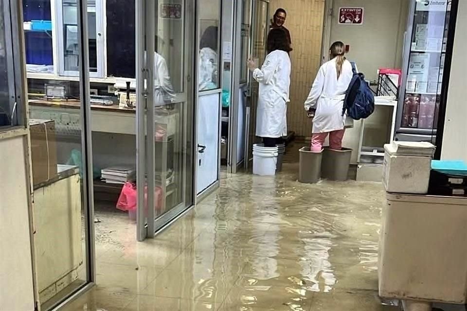 Personal utilizó cubetas para caminar en oficinas y consultorios afectados por la filtración de agua.