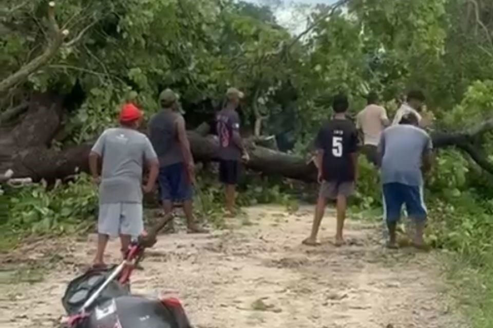 Ante la falta de apoyo del Gobierno federal y estatal, los propios habitantes de Santa María Huazolotitlán, Oaxaca, tuvieron que liberar caminos que les comunican con otras comunidades.