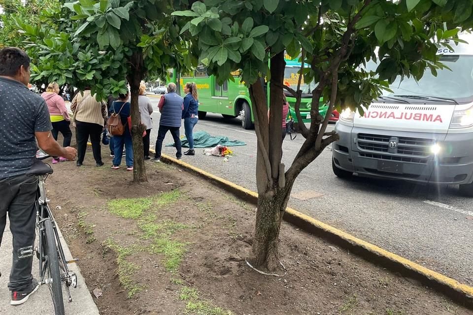 Una mujer de la tercera edad que se dirigía a festejar su cumpleaños, murió atropellada por una unidad del transporte público, en Balcones de Oblatos. Junto a su cuerpo quedó un ramo de flores que le habían regalado.
