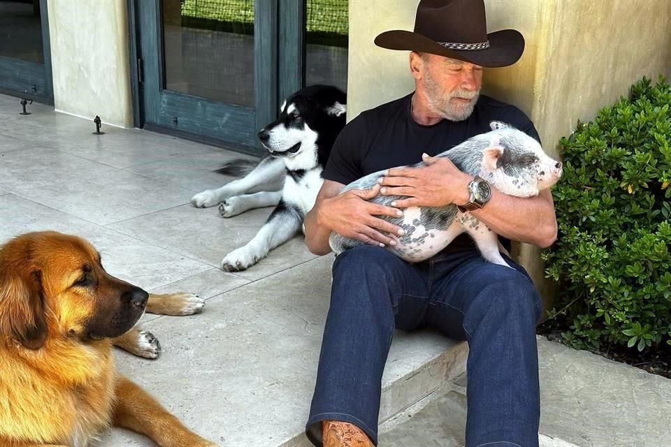 Comparte Arnold Schwarzenegger, de 77 años, las 10 cosas cotidianas que más le gusta realizar.