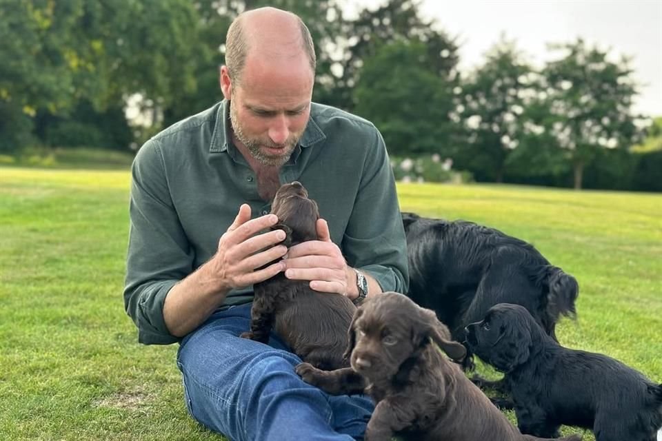 Kate Middleton celebró los 43 años del Príncipe Guillermo con una tierna foto de él rodeado de cachorros, alegría en la familia real.