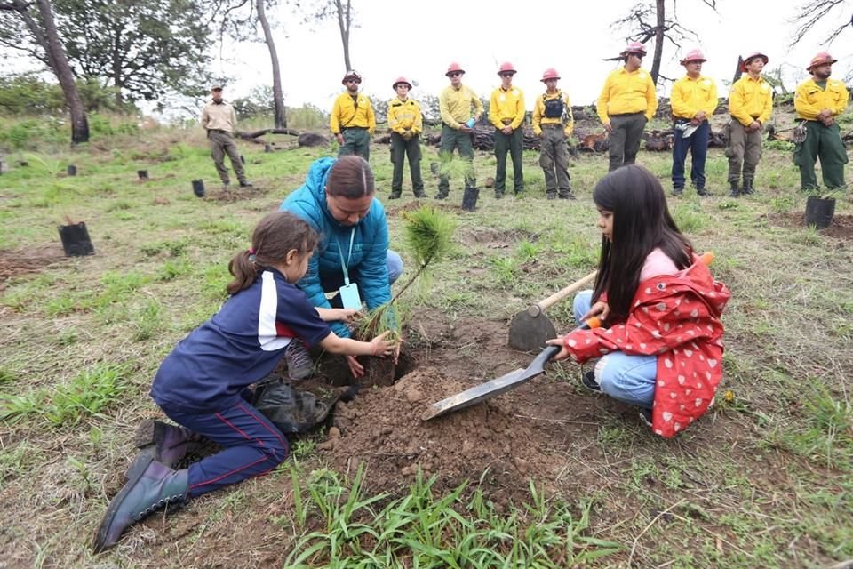 Inicio de la Jornada de Reforestación 2025.