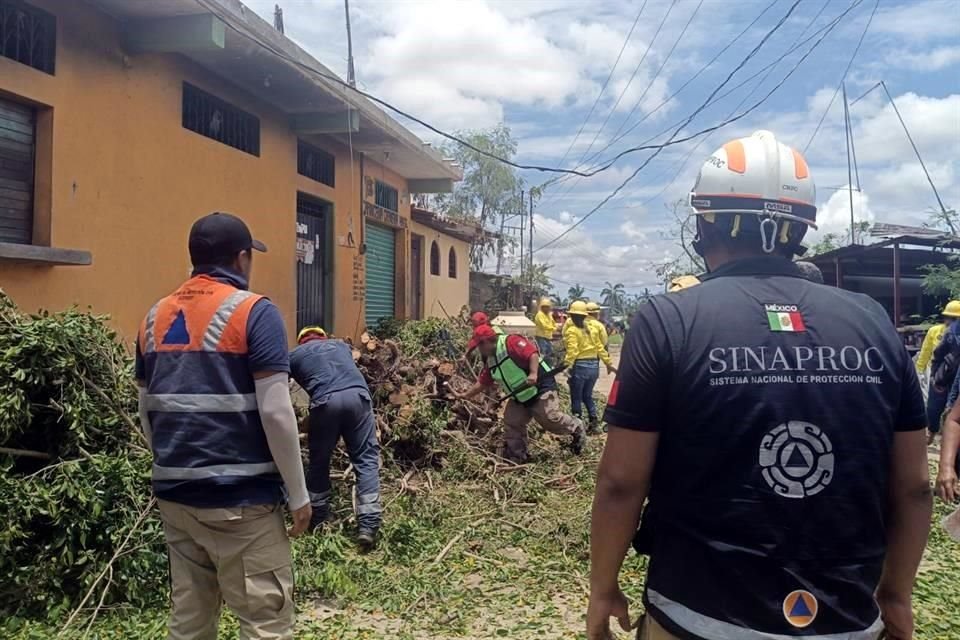 Autoridades federales y estatales han retirado restos de árboles y han registrado daños en viviendas, tras el paso del huracán Erick.