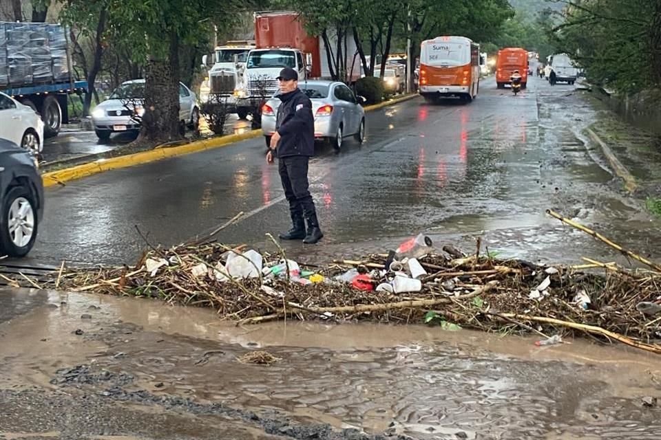Protección Civil y Bomberos Tlajomulco reportó la caída de un árbol en La Lagunita y otro en la cabecera municipal.