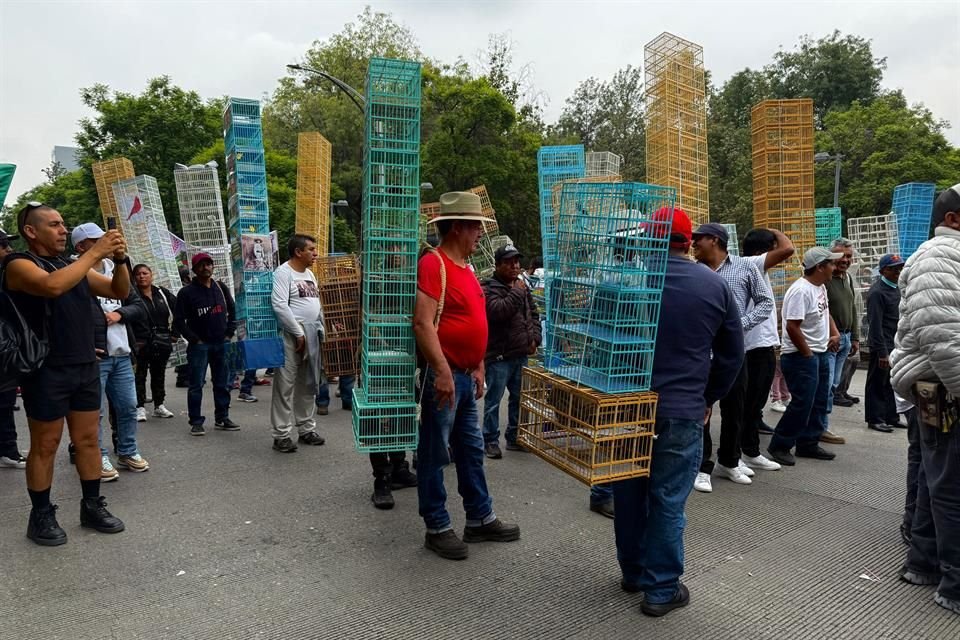 La consigna fue defender la gallería antes de que alguna propuesta de reforma límite las peleas, como sucedió con la tauromaquia en CDMX. 