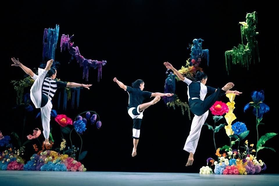 Szene aus der Montage Parajes, einem zeitgenössischen Tanzvorschlag der Sonora-Choreografin Daniela Urías.