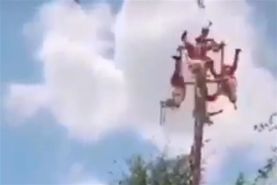 Voladores de Papantla cayeron de 10 metros en Tihuatlán, Veracruz, durante danza, luego de que tronco tradicional se doblara.