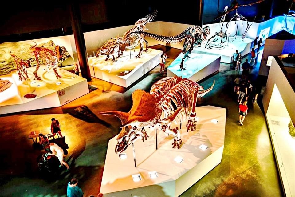 Houston convida você a explorar séculos de história, arte e ciência em seus museus repletos de maravilhas e experiências únicas.