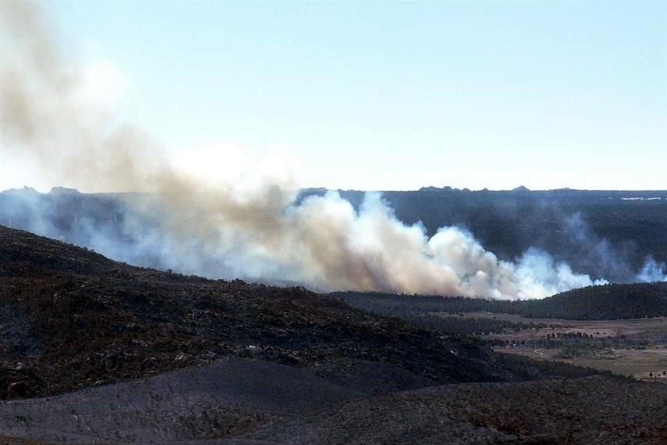 Personal de Protección Civil de los siete municipios de Baja California y grupos de voluntarios organizados se encuentran en la zona.