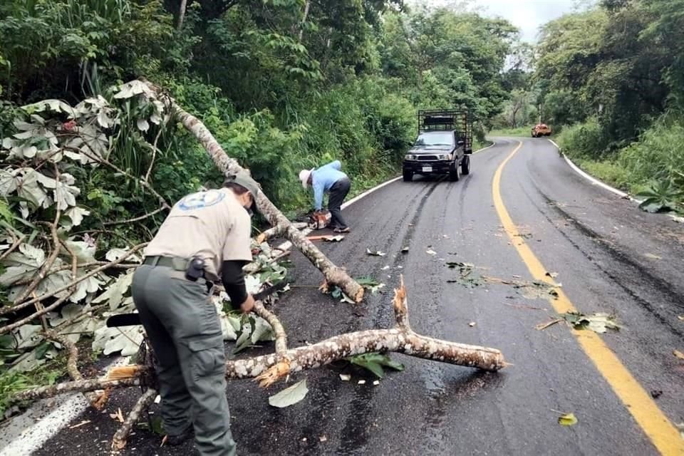 Ayer fue cerrada la Carretera Federal 200 desde el sur de Puerto Vallarta hasta El Tuito por derrumbes y árboles caídos.