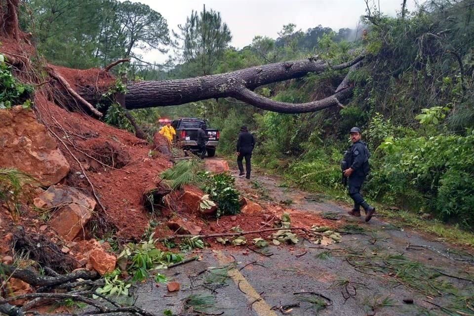 Tras un derrumbe en la brecha que conduce al Bosque del Maple, 132 conductores de jeeps fueron rescatados en Talpa de Allende.