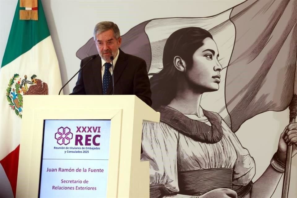 El Canciller Juan Ramón de la Fuente presentó la aplicación en diciembre pasado.