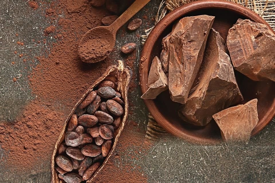 Actualmente los chefs están trabajando para preservar el cacao mexicano.