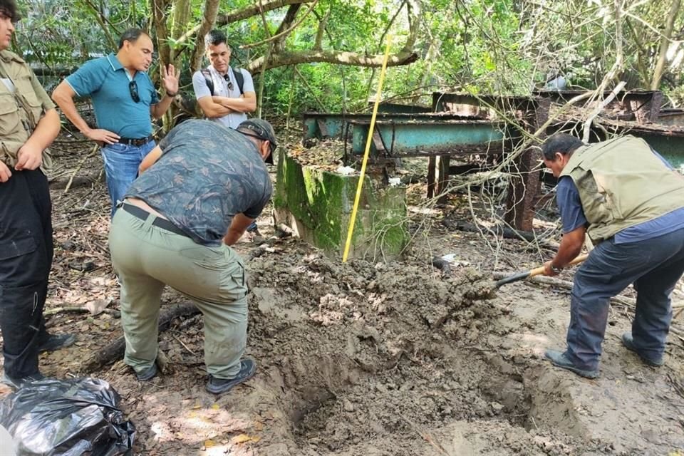 Asesinan a cocodrilo en el Estero el Salado, en Puerto Vallarta.