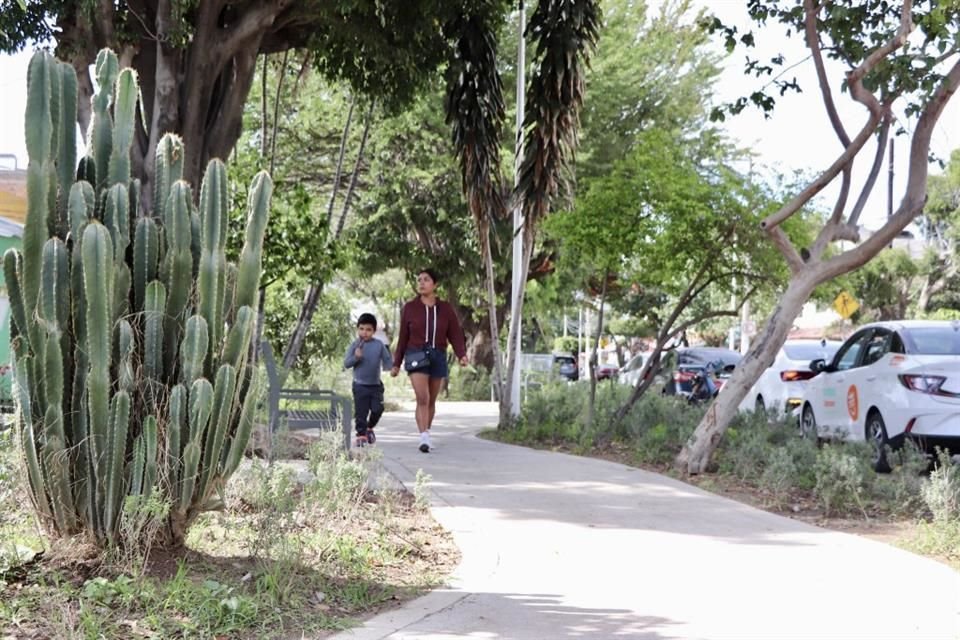 Parque Lineal en la Avenida Las Torres de la Colonia Santa Margarita.