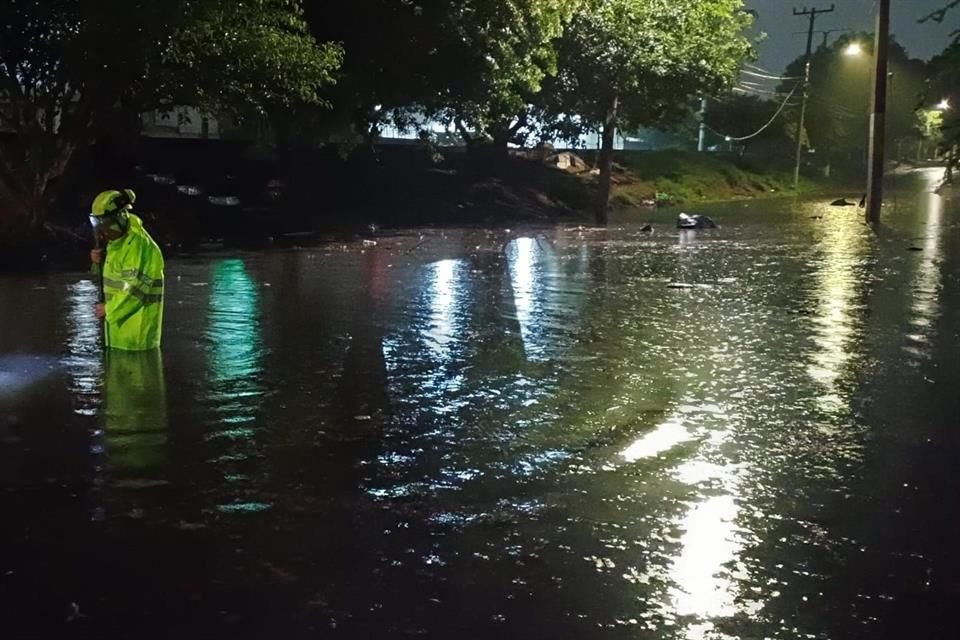 La lluvia de anoche provocó inundaciones, árboles caídos y el ingreso de agua a varias viviendas, en distintos puntos de la ZMG.