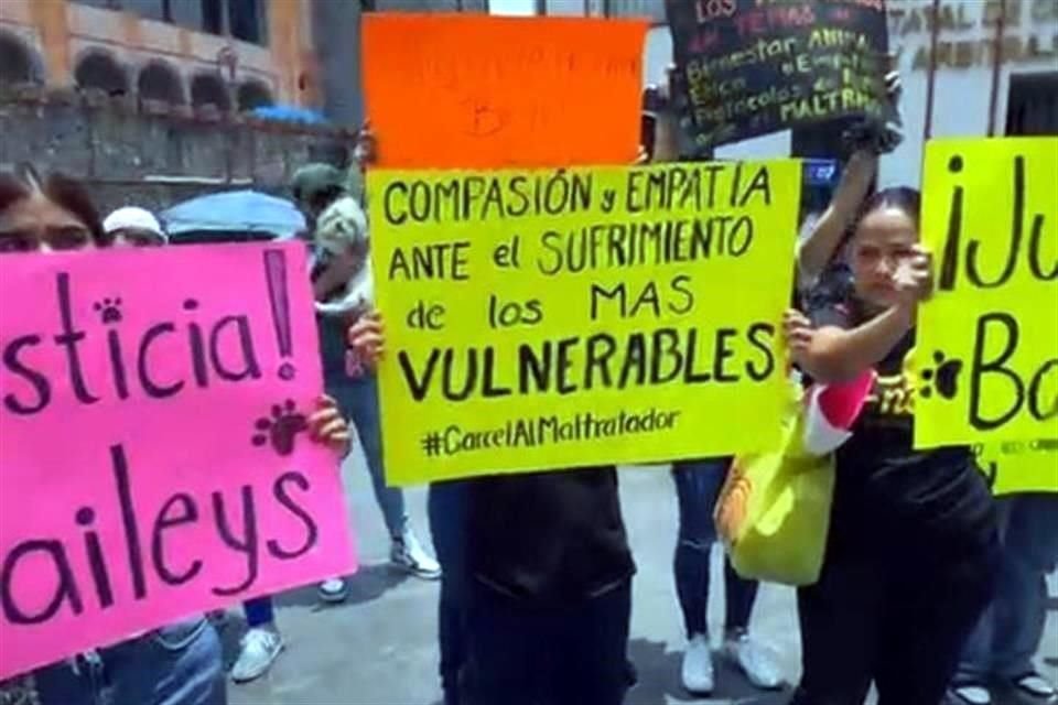 Defensores de animales protestaron frente al Tribunal Superior de Justicia de Morelos luego de la liberación de Roberto 'N', quien asesinó a golpes al perrito 'Beylis' el pasado 12 de junio.