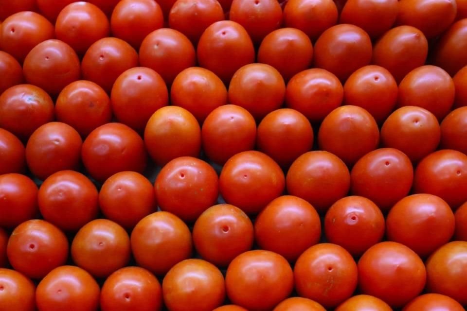 L'applicazione di una tariffa sulle importazioni di pomodori messicani frutterebbe agli Stati Uniti circa 346 milioni di dollari di entrate all'anno.