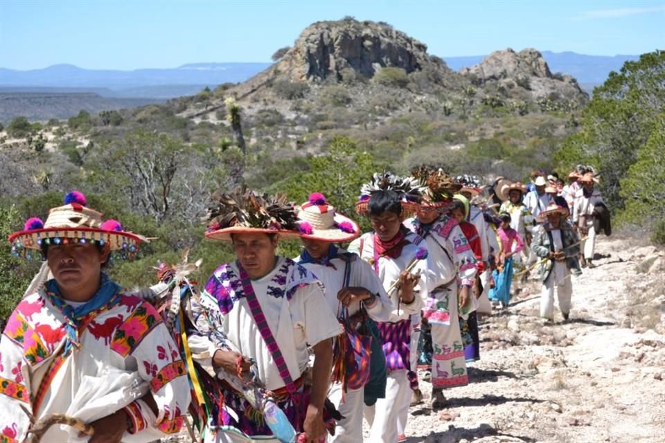 El sábado, en París, fue aceptada como Patrimonio Mundial de la UNESCO la 'Ruta Wixárika por los Sitios Sagrados a Wirikuta'.