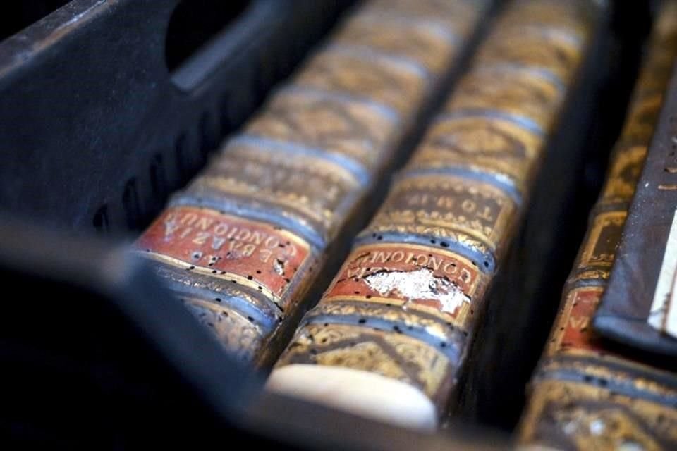 La plaga de gorgojos fue descubierta al advertir exceso de polvillo en los estantes de la biblioteca y descubrir agujeros en los libros.
