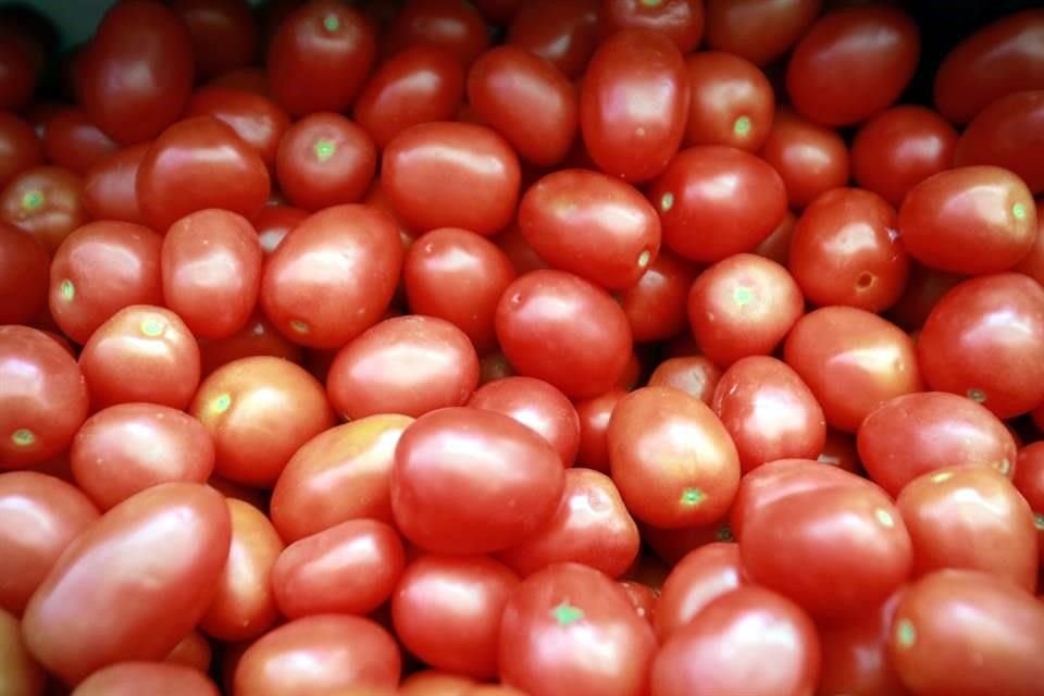 Uno de cada dos tomates que se exportan a Estados Unidos son de Sinaloa.