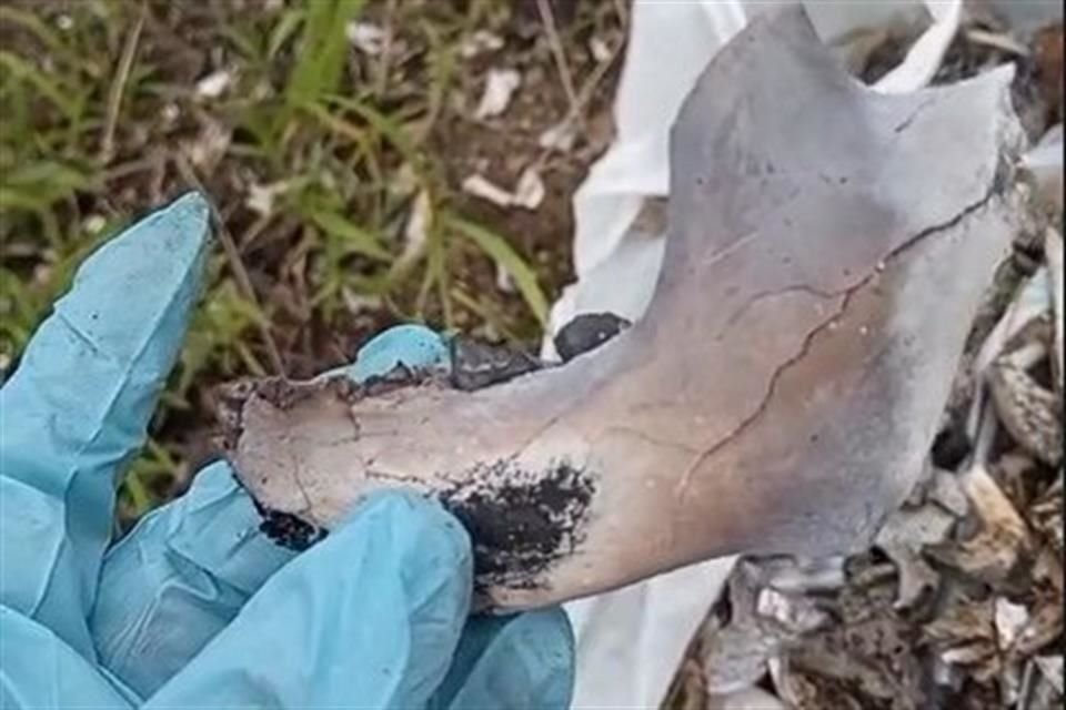 Guerreros Buscadores de Jalisco localizaron en Ahualulco del Mercado bolsas con restos óseos calcinados y muchos casquillos de armas.