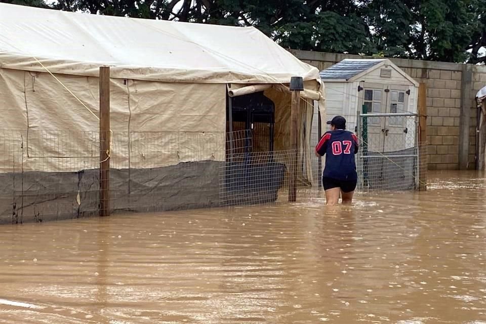 Tras las afectaciones que dejó el Huracán 'Nora' en Puerto Vallarta, ciudadanos se han organizado en distintos esfuerzos para ayudar a los damnificados.