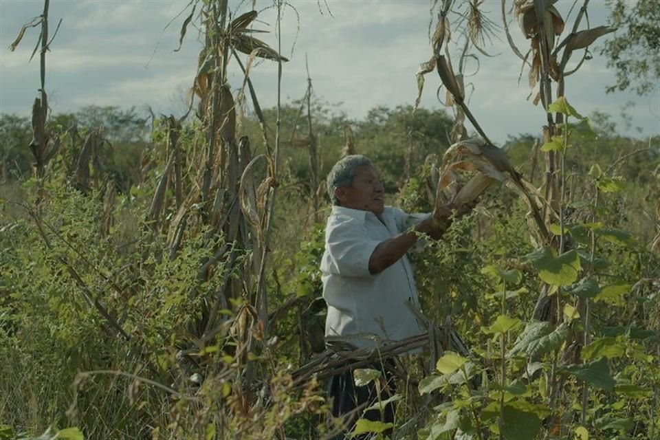 Documental 'Una Herida en el Sur', formará parte de 'Cine para Resistir'.