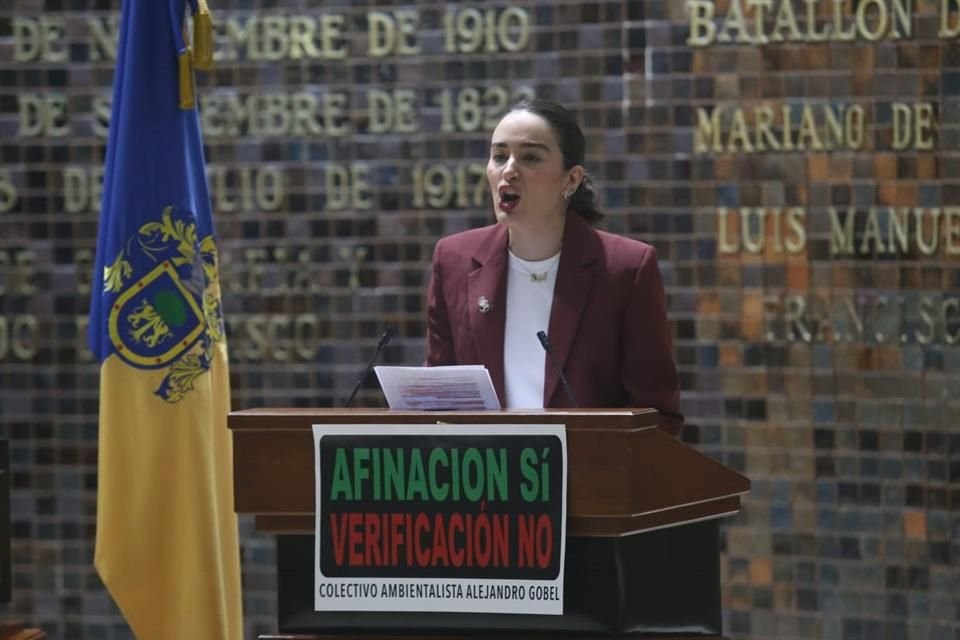 El documento que fue impulsado por los diputados morenistas Miguel de la Rosa e Itzul Barrera.