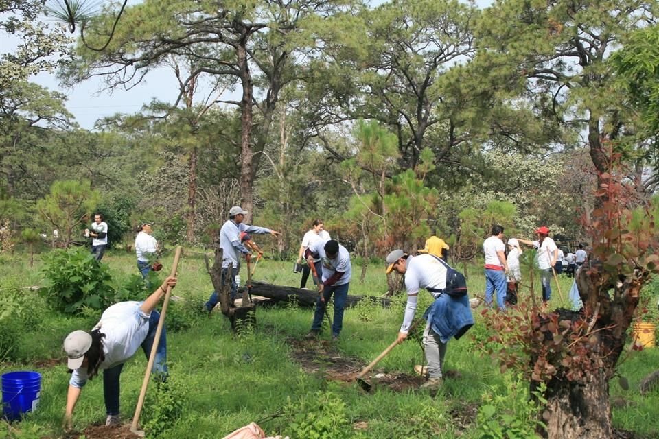 La agroindustria tequilera, a través del CTR, realizó una jornada de reforestación en el Bosque La Primavera, junto con el Gobierno de Jalisco y el Fiprodefo.