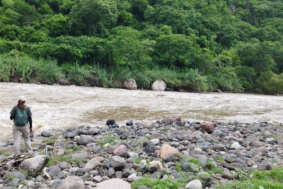 En coordinación con Protección Civil y Bomberos Zapopan, así como con la Secretaría de Seguridad, revisan el Río Santiago hacia el Municipio de San Cristóbal de la Barranca.