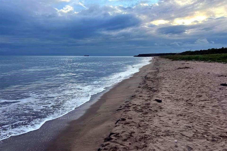 El terremoto generó alertas de tsunami en diversas regiones del Pacífico.