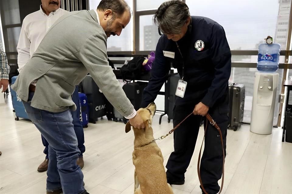 Para reforzar acciones sanitarias para la detección del gusano barrenador, SADER incorporó dos binomios caninos a sus labores de inspección.