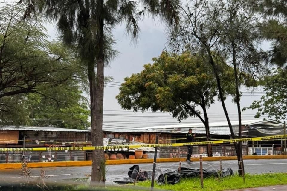 El golpe que le dio el vehículo la lanzó por los aires varios metros, perdiendo la vida a causa del golpe.